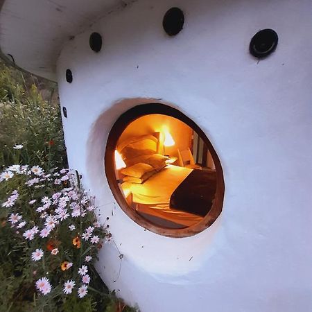 Half Moon Hollow Eco Cottage Mossel Bay Exterior foto